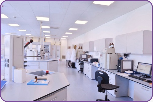 Nicky quality policy and laboratory processes