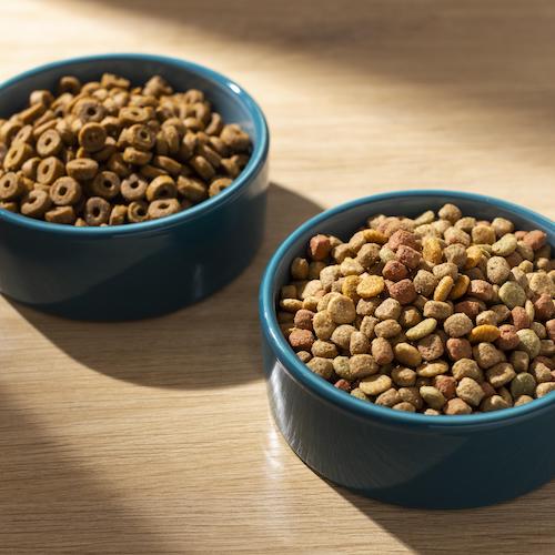 Why Does the Right Food Matter for Our Pets?