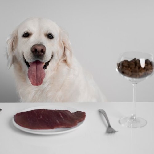 High Palatability: Why Does Taste Matter in Pet Food?