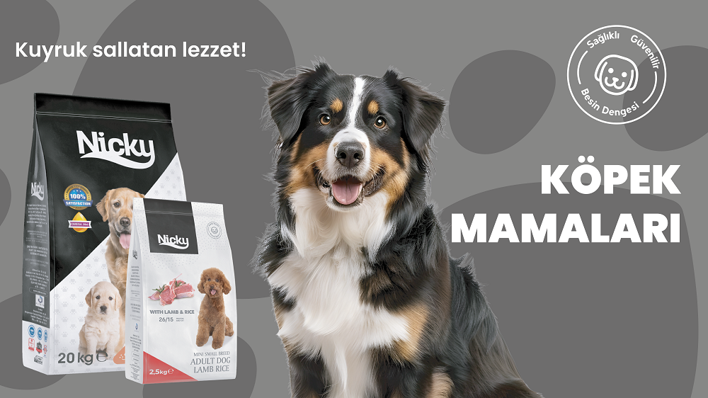 NickyPlus dog food