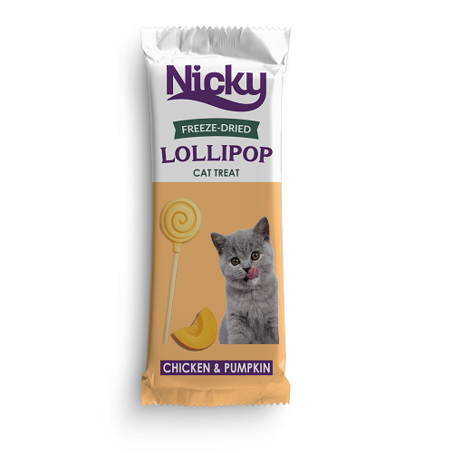 Nicky Pumpkin Lollipop